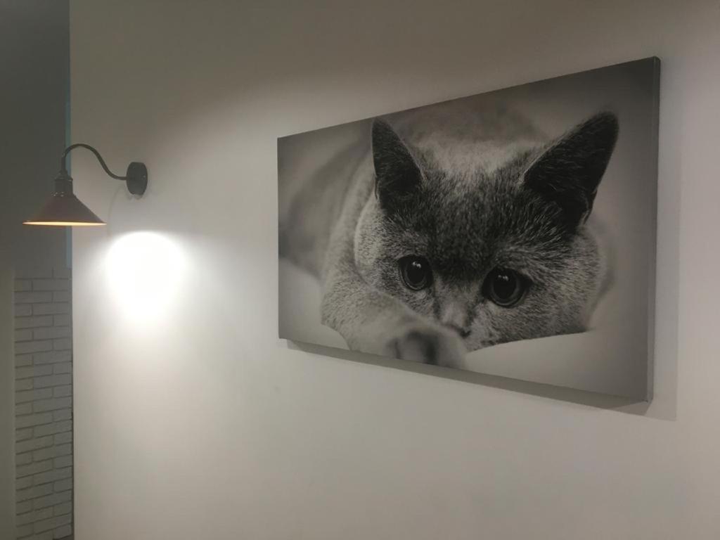 Comfort Place In The City Centre イヴァーノ＝フランキーウシク エクステリア 写真